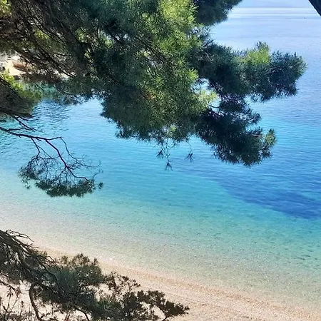 Bonkovic Апартаменты