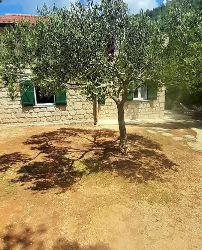 Apartmán Bonkovic
